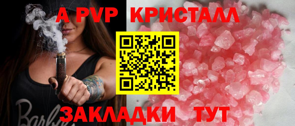 Альфа ПВП СК КРИС Курчалой