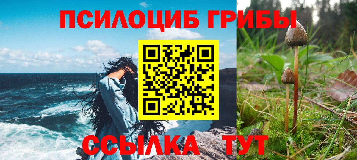 Псилоцибиновые грибы ЛСД Курчалой